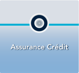 assurance-credit